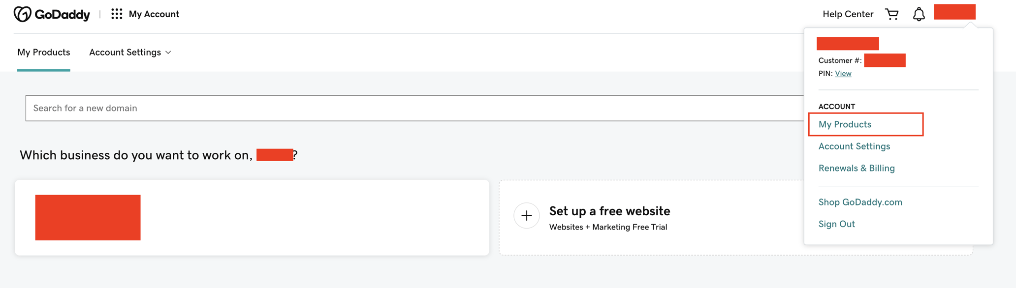 How to delegate access using GoDaddy