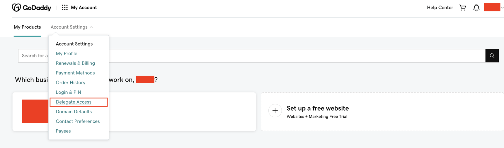 How to delegate access using GoDaddy